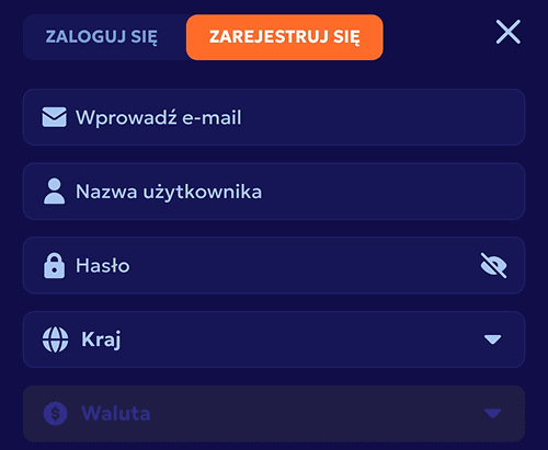 Wprowadzamy wymagane dane